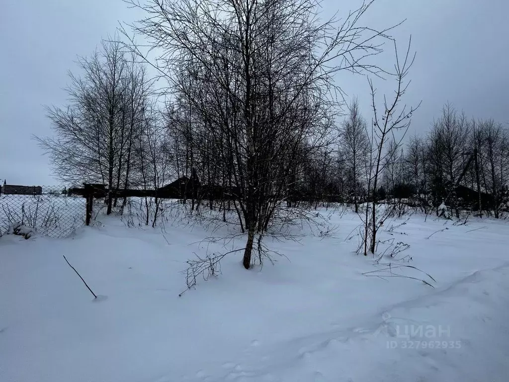 Участок в Московская область, Ступино городской округ, пос. Новоселки ... - Фото 2