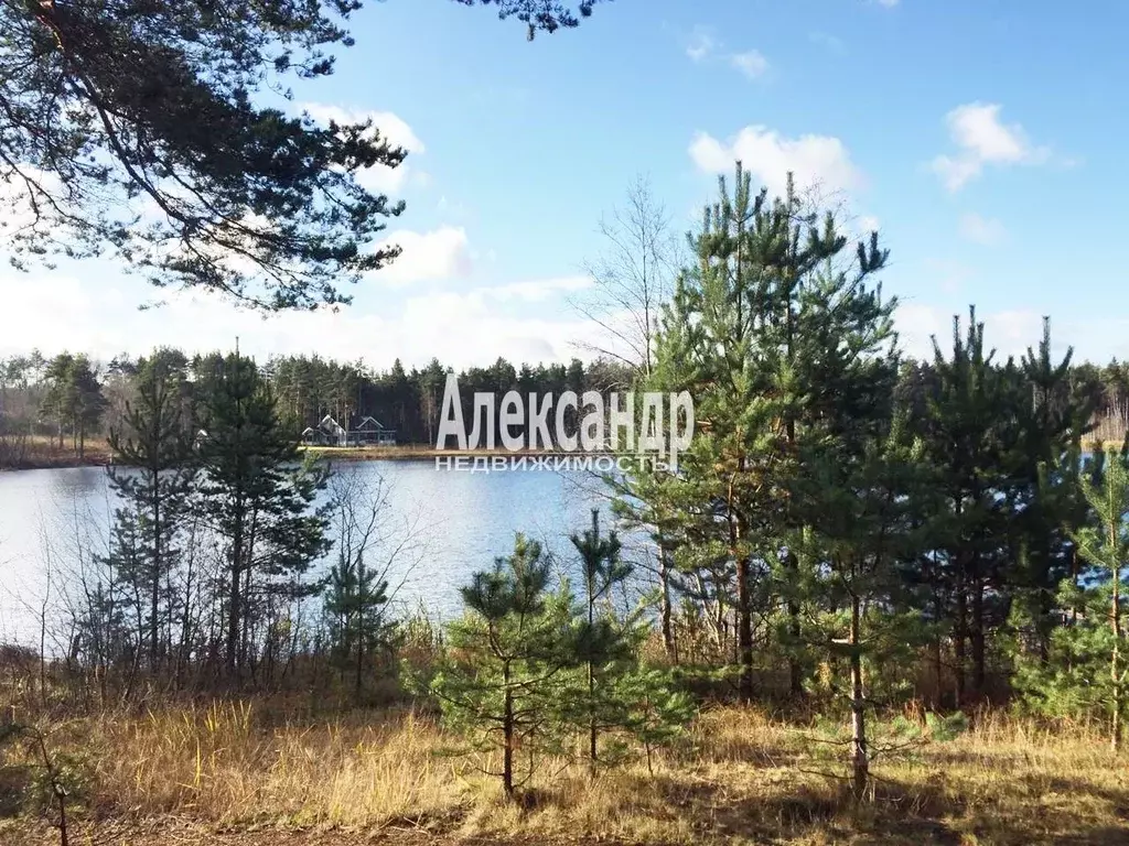 Участок в Ленинградская область, Приозерский район, Сосновское с/пос, ... - Фото 2