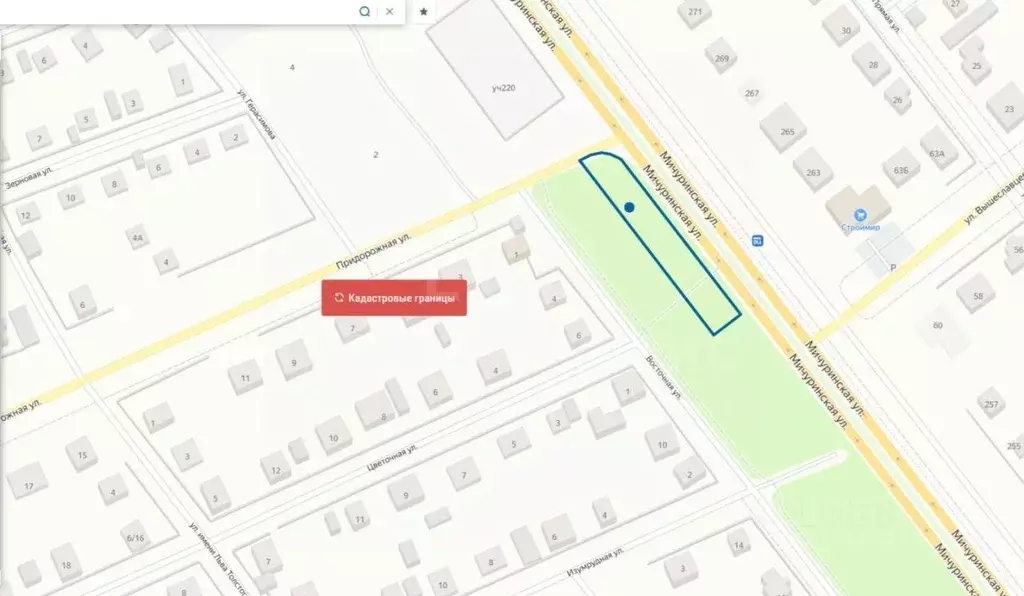 Участок в Тамбовская область, Тамбов Мичуринская ул. (18.7 сот.) - Фото 1