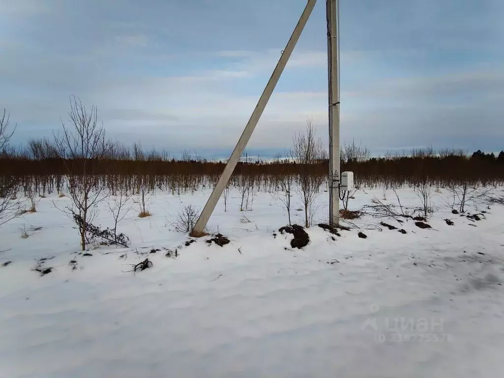 Участок в Московская область, Рузский муниципальный округ, д. Леньково ... - Фото 0