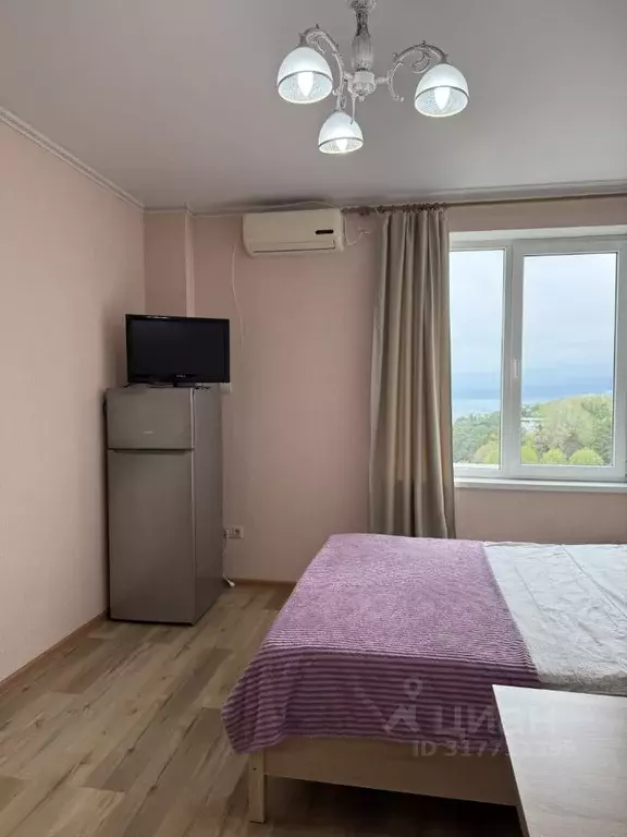 Студия Краснодарский край, Сочи ул. Просвещения, 84 (23.0 м) - Фото 0