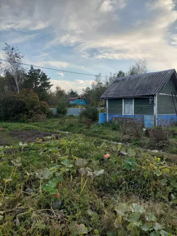 Участок в Хабаровский край, Хабаровский район, с. Черная Речка, Озерки ... - Фото 0