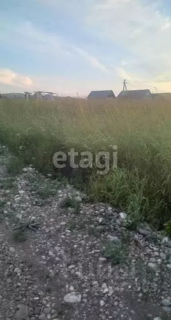 Участок в Алтай, Майминский район, с. Подгорное ул. Заречная, 17 (9.8 ... - Фото 1