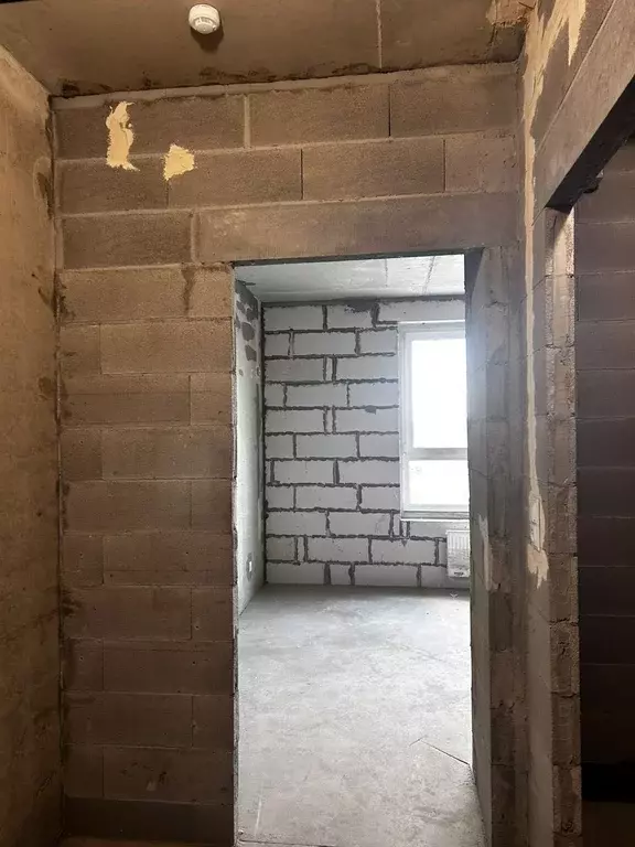 Продаётся квартира-студия, 20.2 м - Фото 1