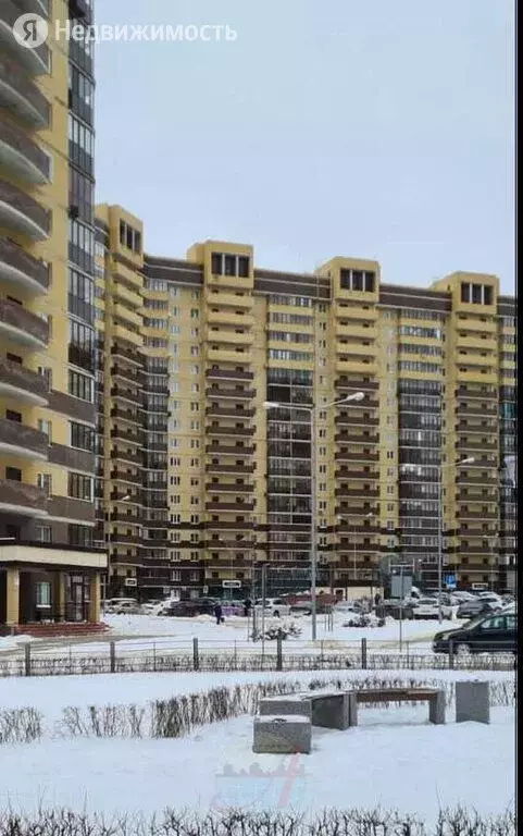 Олимпийский Массив Воронеж Фото