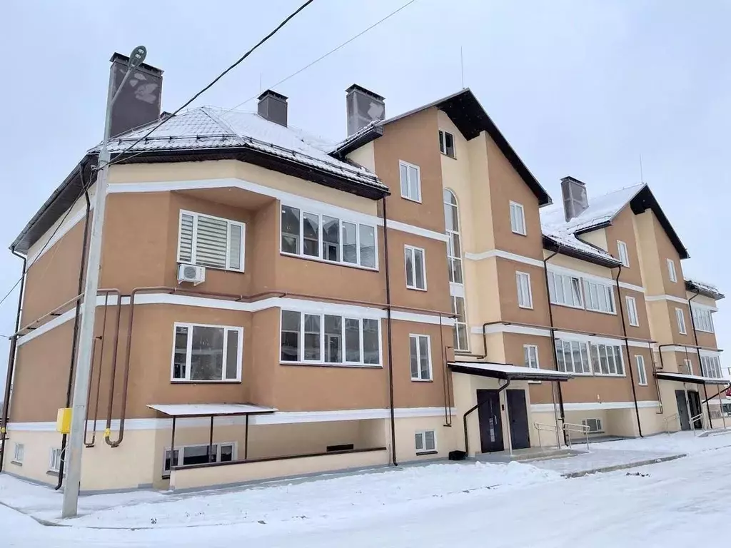 1-к кв. Московская область, Истра муниципальный округ, с. Павловская ... - Фото 1