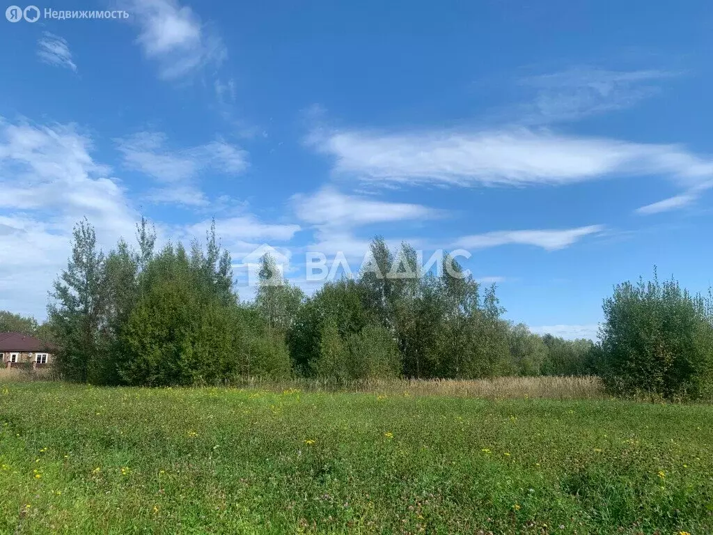 Участок в Владимирская область, муниципальное образование Вязники, ... - Фото 2