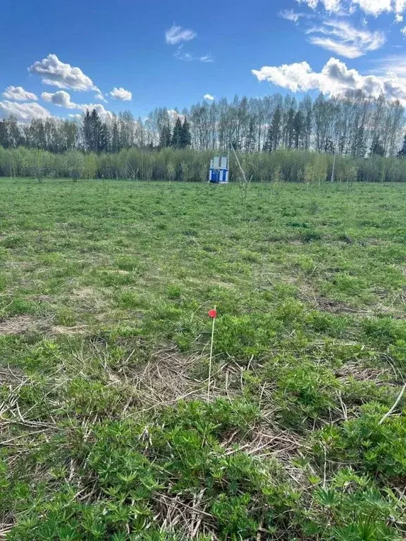 Участок в Пермский край, Пермский муниципальный округ, д. Сухая  (10.0 ... - Фото 2