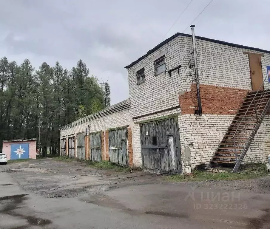 Помещение свободного назначения в Нижегородская область, Шатки рп  ... - Фото 1
