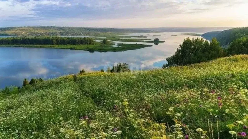 Участок в Пермский край, Пермский муниципальный округ, д. Мостовая ... - Фото 1