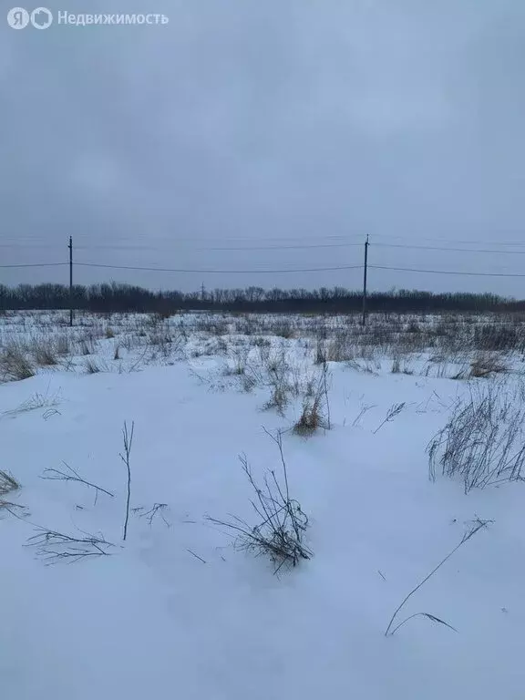 Участок в деревня Ивницы, улица Валерии (12.2 м) - Фото 1