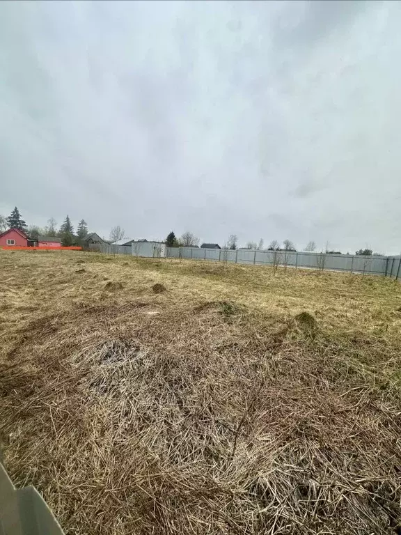 Участок в Ленинградская область, Гатчинский муниципальный округ, д. ... - Фото 2