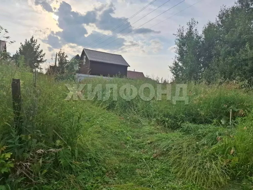 Участок в Нижегородская область, Семеновский муниципальный округ, ... - Фото 2