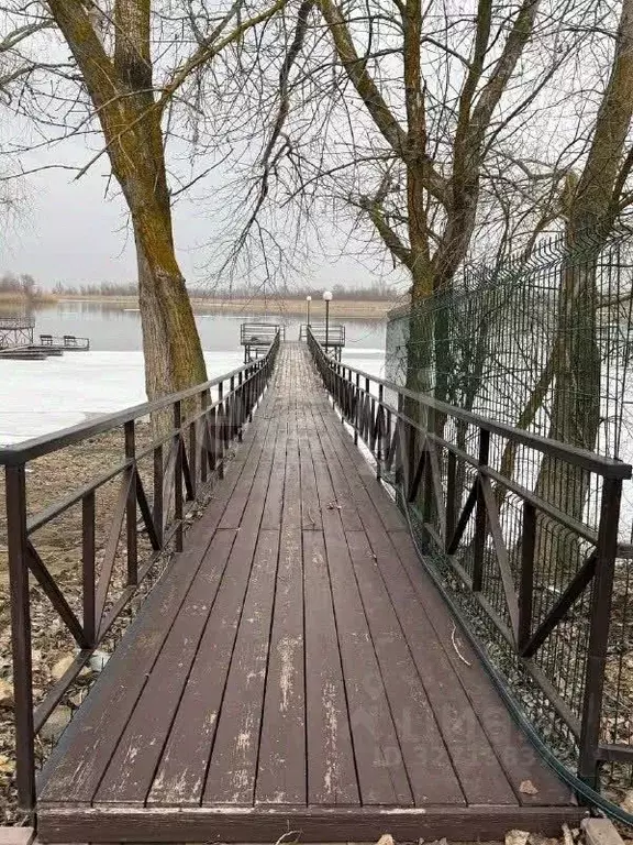 Дом в Ростовская область, Багаевский район, Манычское с/пос, Арпачин ... - Фото 1
