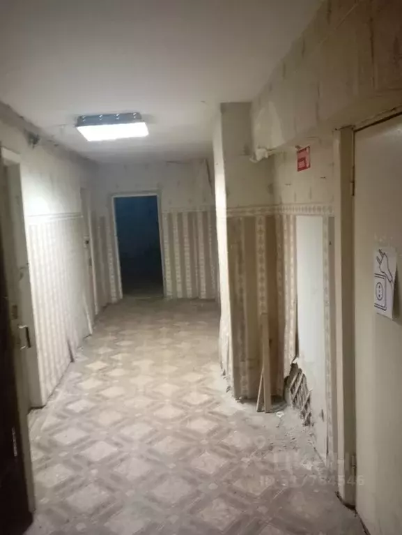 Помещение свободного назначения в Брянская область, Брянск ул. Фокина, ... - Фото 0