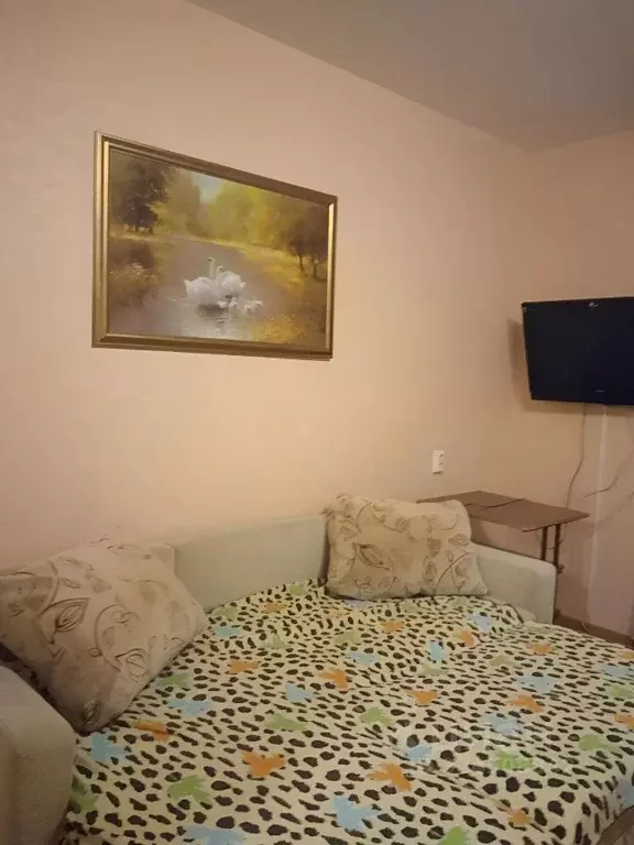 Студия Челябинская область, Челябинск ул. Габдуллы Тукая, 18 (29.0 м) - Фото 2