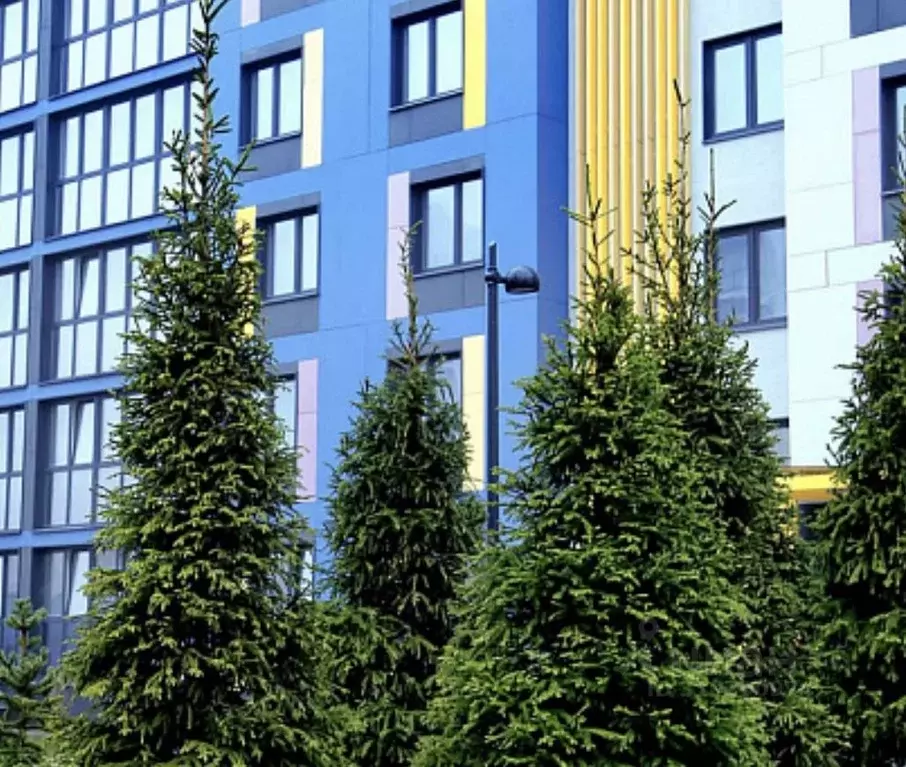 3-к кв. Брянская область, Брянск ул. Имени О.С. Визнюка, 18 (99.8 м) - Фото 2