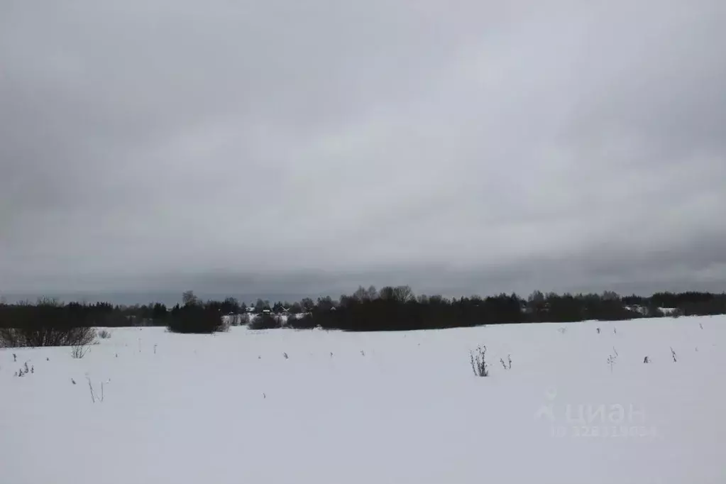 Участок в Московская область, Шаховская муниципальный округ, д. ... - Фото 1
