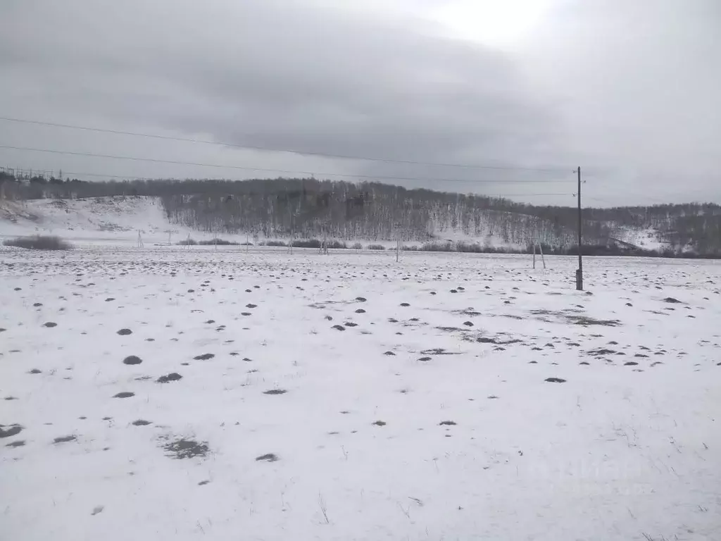 Участок в Красноярский край, Березовский район, Вознесенский ... - Фото 0