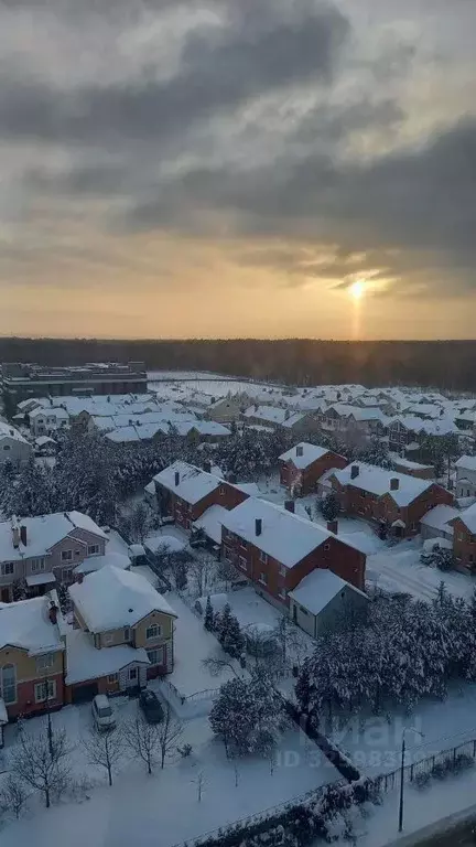 3-к кв. Московская область, Ступино ул. Чайковского, 58 (96.4 м) - Фото 2