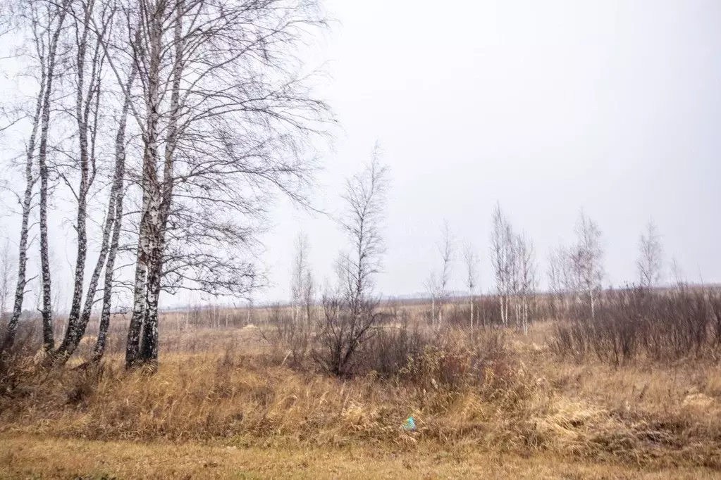 Участок в Тюменская область, Тюмень  (100.0 сот.) - Фото 1