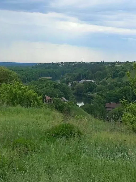 Участок в Воронежская область, Рамонский район, Березовское с/пос, с. ... - Фото 1