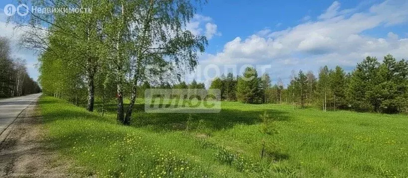 Участок в Нижегородская область, муниципальный округ Бор, село ... - Фото 1