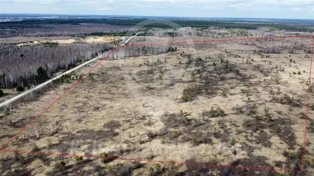 Участок в Рязанская область, Шиловский район, Тимошкинское с/пос, с. ... - Фото 1