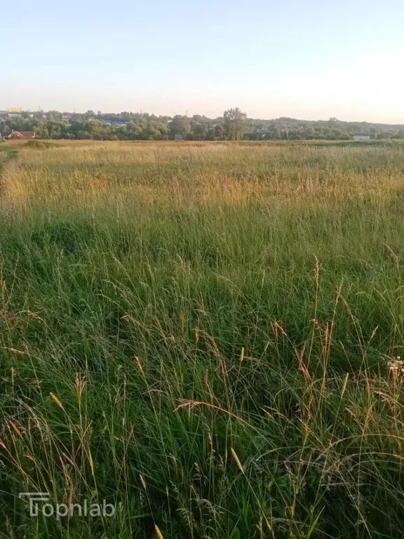 Участок в Орловская область, Орловский муниципальный округ, с. ... - Фото 2