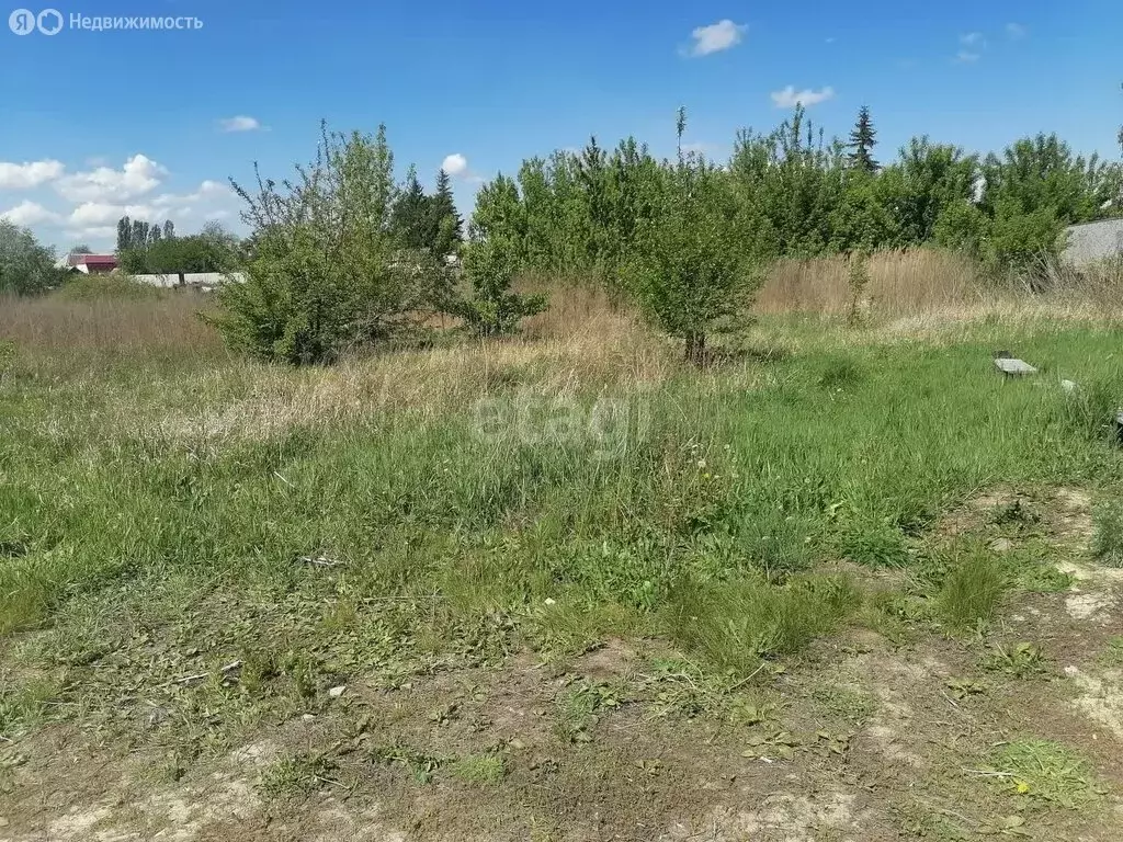 Участок в Новая Усмань, 2-я Первомайская улица, 1 (11.2 м) - Фото 1