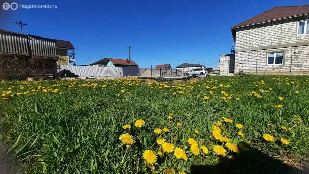 Участок в Калининград, СНТ Чайка, Лимонный проезд (5.51 м) - Фото 2