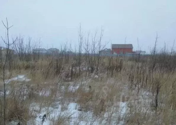 Участок в Рязанская область, Рыбное  (100.0 сот.) - Фото 2