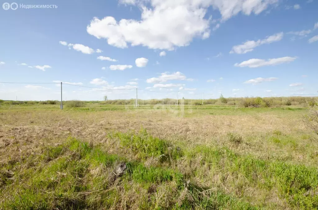 Участок в Ялуторовск, улица Отекина (10 м) - Фото 2