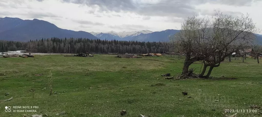 Участок в Алтай, Усть-Коксинский район, с. Тюнгур Набережная ул. (6.0 ... - Фото 1