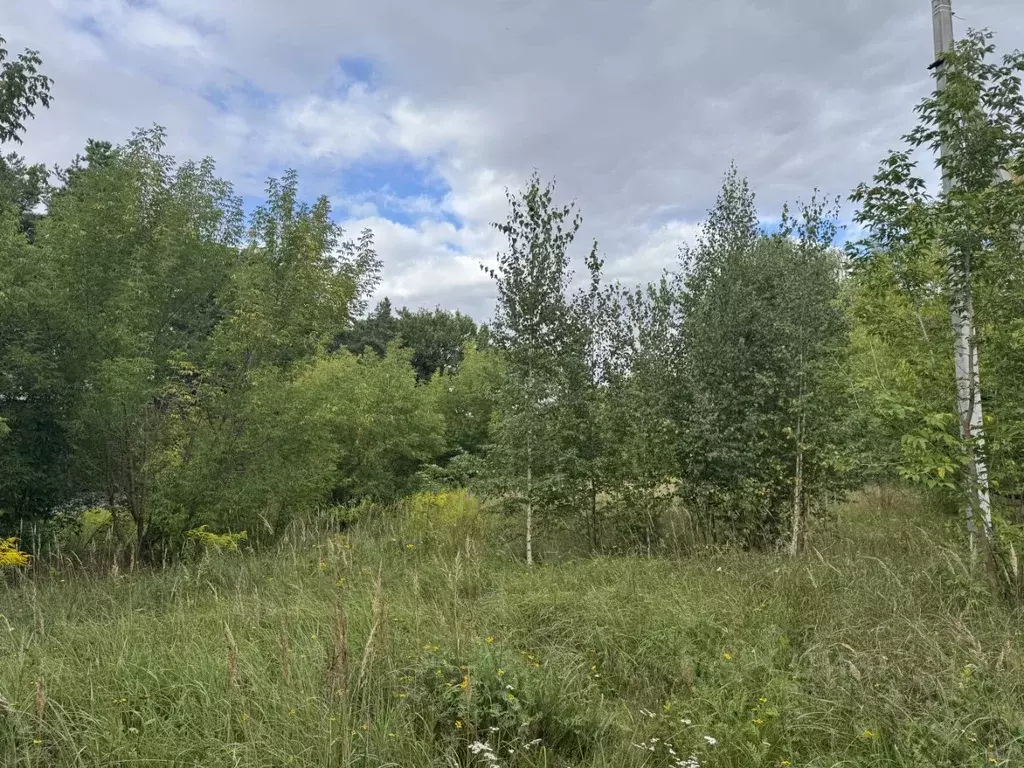 Участок в Московская область, Люберцы городской округ, Малаховка пгт ... - Фото 2