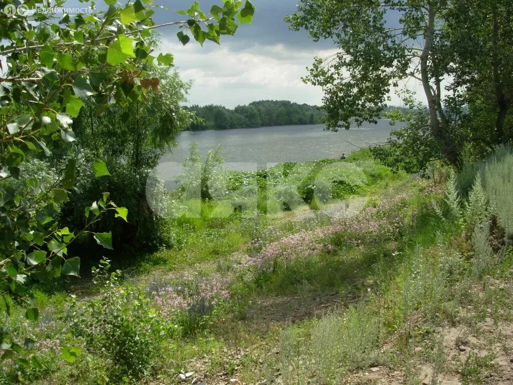 Участок в посёлок Тульский, СТ Одуванчик (15 м) - Фото 0