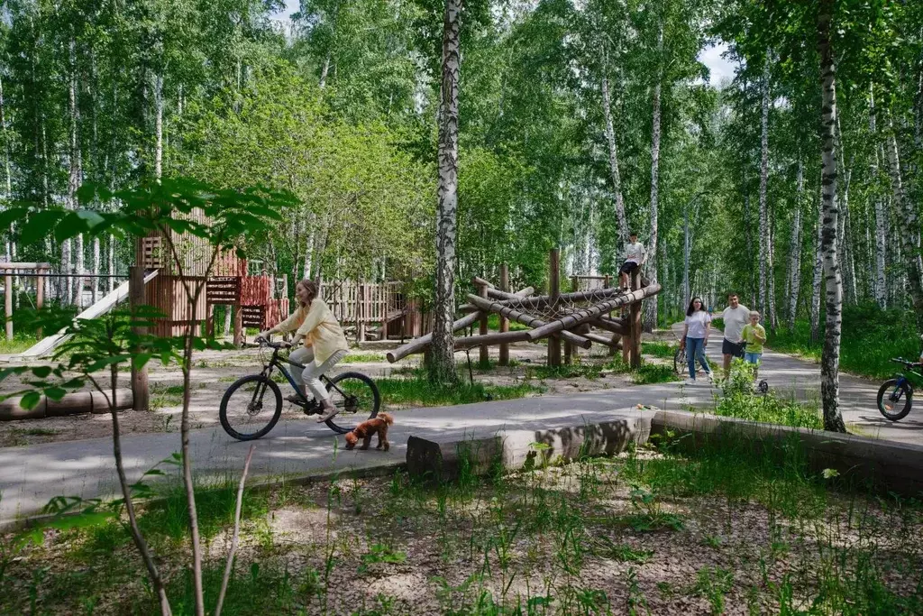 Участок в Новосибирская область, Новосибирский район, Криводановский ... - Фото 0