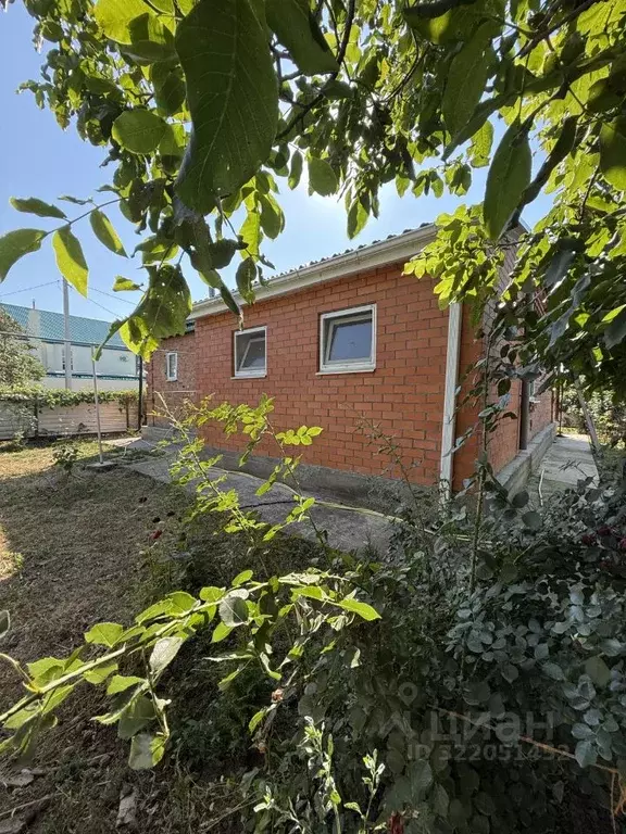 Дом в Краснодарский край, Белореченский район, Южненское с/пос, пос. ... - Фото 2