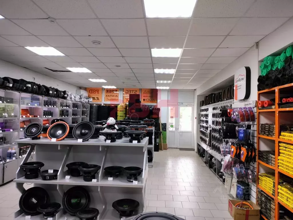 Торговая площадь в Пензенская область, Пенза ул. Суворова (88 м) - Фото 2