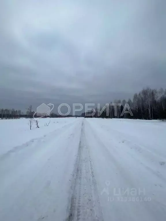 Участок в Тюменская область, Тюменский район, д. Марай  (9.16 сот.) - Фото 1