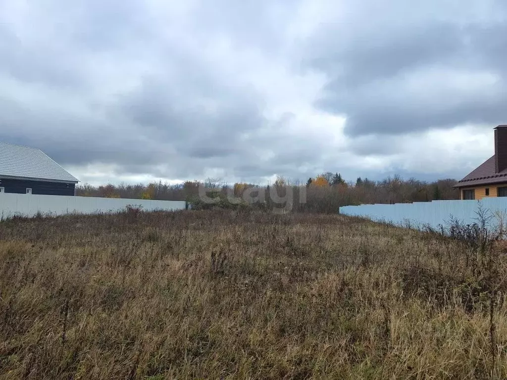 Участок в Воронежская область, Новоусманский район, Никольское с/пос, ... - Фото 1