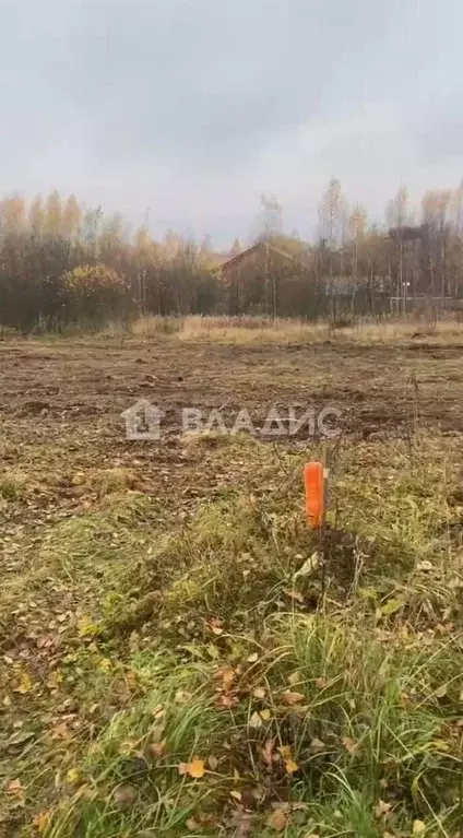 Участок в Московская область, Электросталь городской округ, д. Есино ... - Фото 1