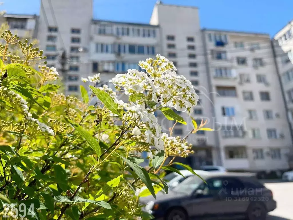 1-к кв. Севастополь просп. Генерала Острякова, 221 (32.1 м) - Фото 0