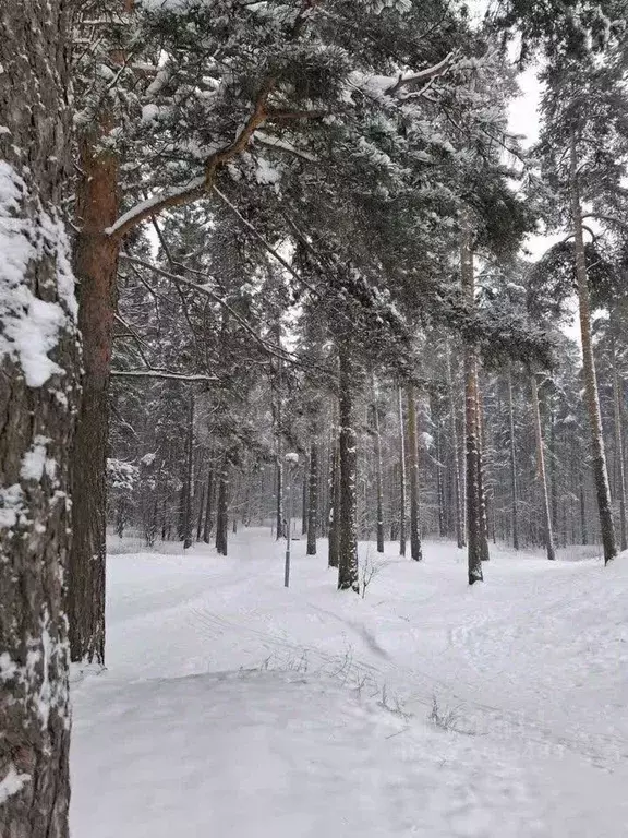1-к кв. Ярославская область, Ярославль Красноборская ул., 19 (44.5 м) - Фото 1