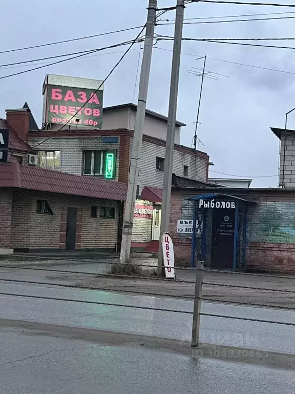 Помещение свободного назначения в Московская область, Раменское ... - Фото 0