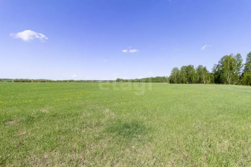 Участок в Тюменская область, Тюмень  (8.76 сот.) - Фото 1