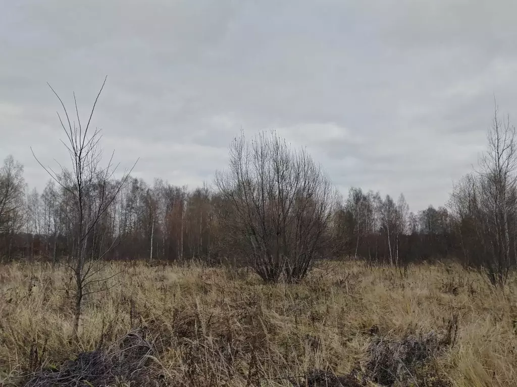 Участок в Московская область, Чехов муниципальный округ, Троицкое пгт  ... - Фото 1