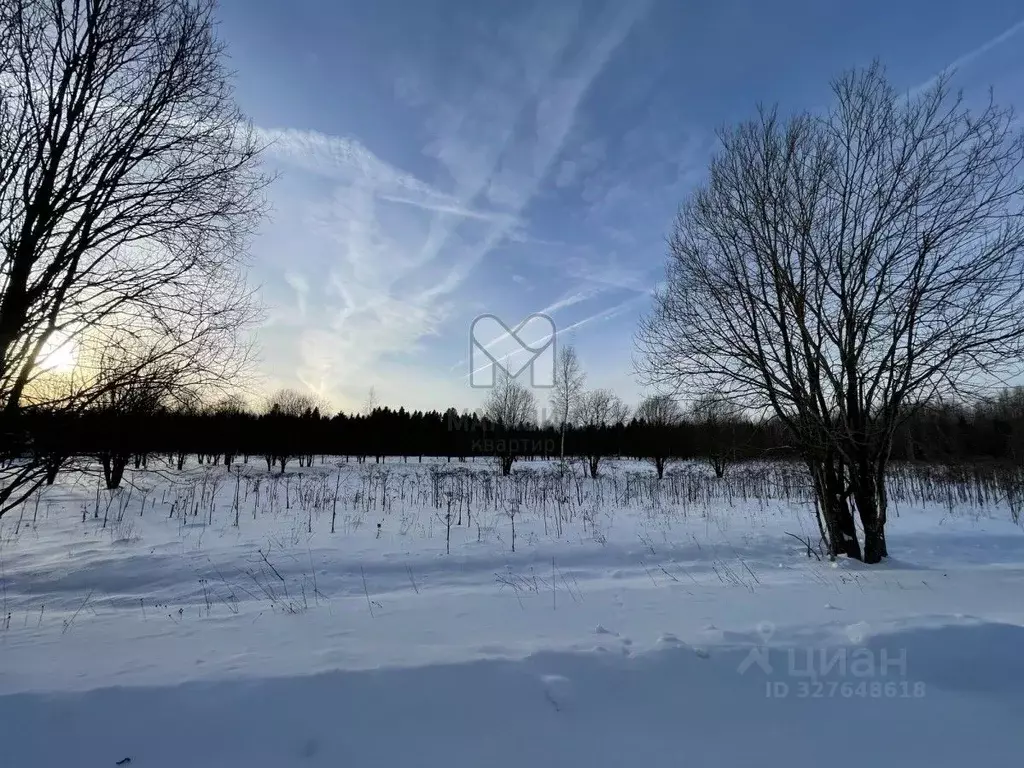 Участок в Ленинградская область, Волосовский район, Клопицкое с/пос, ... - Фото 2
