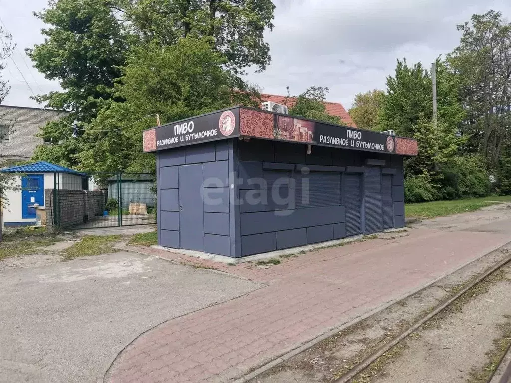 Торговая площадь в Калининградская область, Калининград просп. Победы, ... - Фото 0