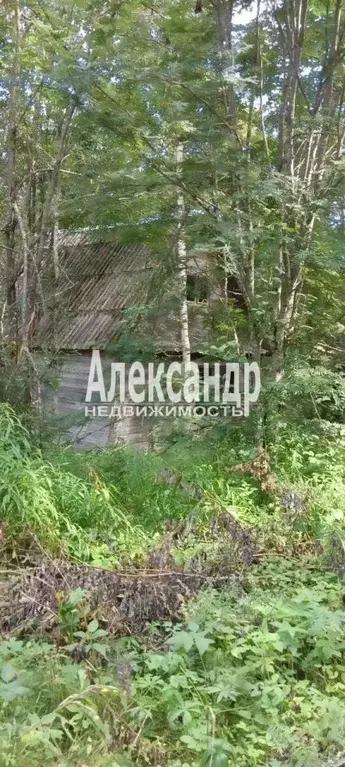 Участок в Ленинградская область, Приозерский район, пос. Мичуринское, ... - Фото 2
